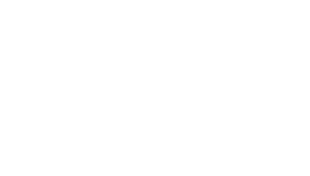 Max Local Marketing Logo White | SobeViral